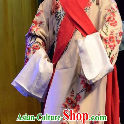 The Butterfly Chalice Chinese Shanxi Opera Niche Apparels Costumes and Headpieces Traditional Jin Opera Xiaosheng Garment Childe Tian Yuchuan Clothing