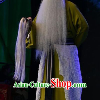 Wei Shui River Chinese Shanxi Opera Elderly Male Apparels Costumes and Headpieces Traditional Jin Opera Laosheng Garment Fisher Jiang Shang Clothing