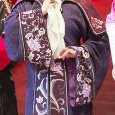 Chinese Henan Opera Noble Dame Wang Garment Costumes and Headdress Huang Ye Hong Lou Traditional Qu Opera Matron Apparels Elderly Female Dress
