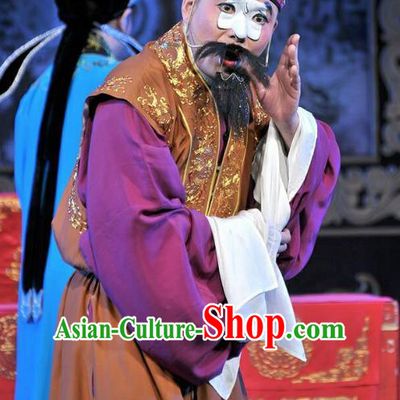 Forced Marriage Chinese Lu Opera Clown Apparels Costumes and Headpieces Traditional Shandong Opera Chou Role Garment Adviser Clothing