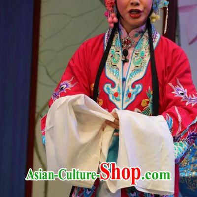 Chinese Shandong Opera Actress Hong Meirong Garment Costumes and Headdress Forced Marriage Traditional Lu Opera Hua Tan Apparels Noble Female Red Dress