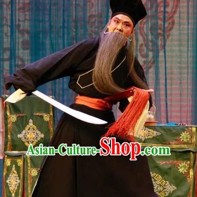 Long Feng Mian Chinese Lu Opera Old Servant Ding Kui Apparels Costumes and Headpieces Traditional Shandong Opera Laosheng Garment Elderly Male Clothing