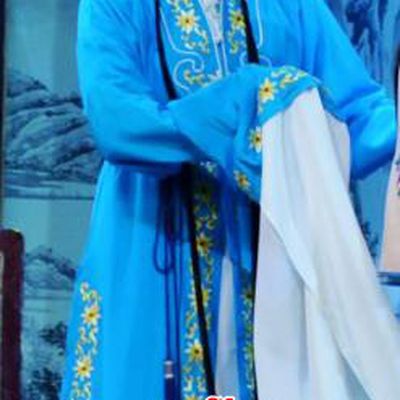 Chinese Han Opera Diva Wang Chunniang Garment Chun Niang Qu Costumes and Headdress Traditional Hubei Hanchu Opera Young Woman Apparels Distress Maiden Blue Dress