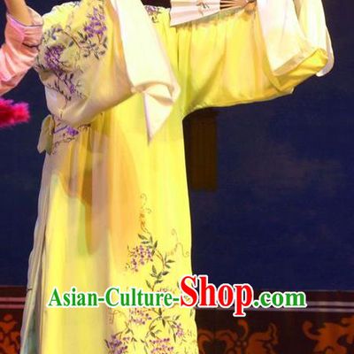 Hua Deng An Chinese Hubei Hanchu Opera Niche Apparels Costumes and Headpieces Traditional Han Opera Xiaosheng Garment Scholar Wang Daru Clothing