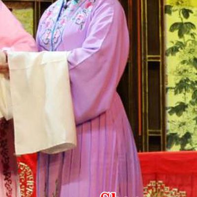Chinese Han Opera Young Lady Garment Chun Niang Qu Costumes and Headdress Traditional Hubei Hanchu Opera Actress Apparels Xiaodan Li Cuihua Dress