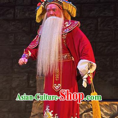 Chinese Guangdong Opera Infante Apparels Costumes and Headpieces Traditional Cantonese Opera Elderly Male Garment Lord Wu Zixu Clothing