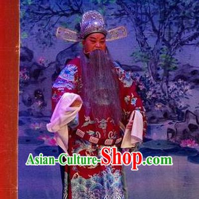 Qian Tang Su Xiaoxiao Chinese Guangdong Opera Laosheng Apparels Costumes and Headpieces Traditional Cantonese Opera Elderly Male Garment Official Ruan Shaoye Clothing