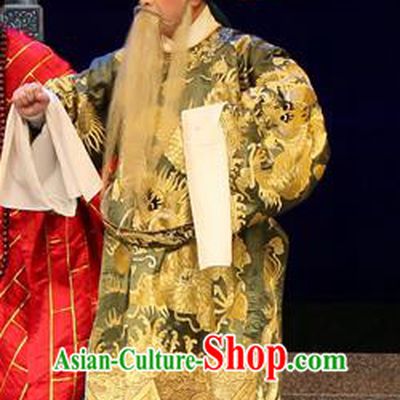 Legend of Lun Wenxu Chinese Guangdong Opera Official Apparels Costumes and Headpieces Traditional Cantonese Opera Laosheng Garment Elderly Male Clothing