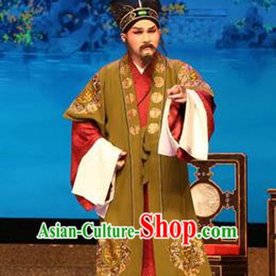 Legend of Lun Wenxu Chinese Guangdong Opera Landlord Hu Apparels Costumes and Headpieces Traditional Cantonese Opera Elderly Male Garment Ministry Councillor Clothing