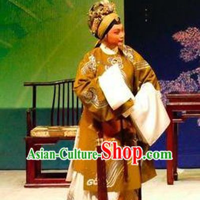 Chinese Cantonese Opera Laodan Garment Hua Jian Ji Costumes and Headdress Traditional Guangdong Opera Dame Apparels Pantaloon Dress
