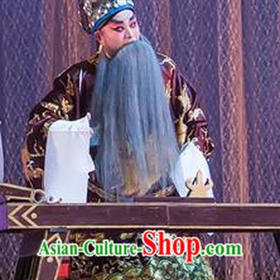 The Romance of Hairpin Chinese Guangdong Opera Prime Minister Wan Si Apparels Costumes and Headpieces Traditional Cantonese Opera Laosheng Garment Elderly Male Clothing