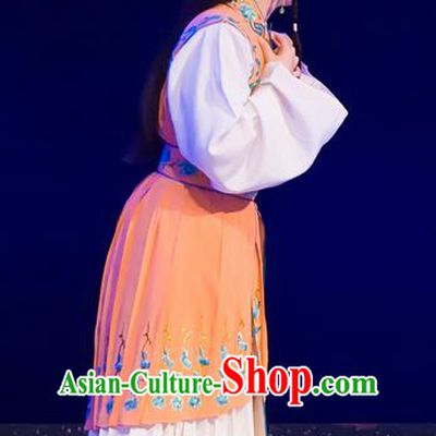 Chinese Cantonese Opera Hua Tan Garment The Romance of Hairpin Costumes and Headdress Traditional Guangdong Opera Actress Apparels Young Female Dress