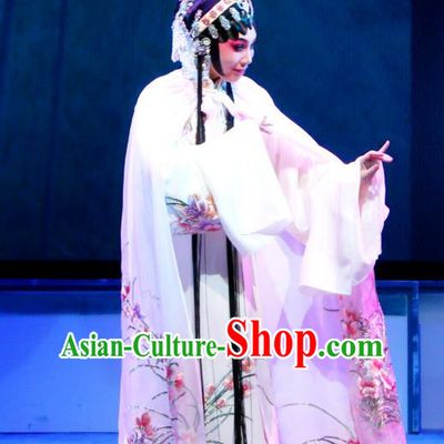 Chinese Cantonese Opera Diva Yang Yaoxian Garment Hua Jian Ji Costumes and Headdress Traditional Guangdong Opera Young Female Apparels Rich Lady Dress