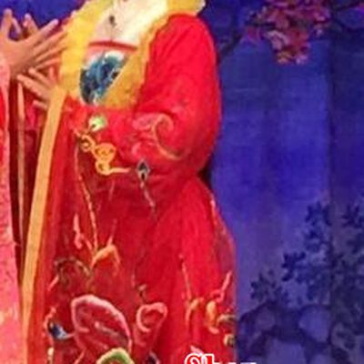 Chinese Cantonese Opera Diva Huo Xiaoyu Garment Story of the Violet Hairpin Costumes and Headdress Traditional Guangdong Opera Apparels Young Female Red Dress