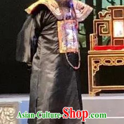 Barwo Guild Chinese Guangdong Opera Qing Dynasty Official Apparels Costumes and Headpieces Traditional Cantonese Opera Garment Minister Li Futai Clothing