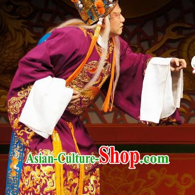 Diao Man Gong Zhu Gan Fu Ma Chinese Guangdong Opera Eunuch Apparels Costumes and Headpieces Traditional Cantonese Opera Elderly Male Garment Clown Purple Clothing
