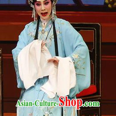Chinese Cantonese Opera Young Mistress Garment The Lotus Lantern Costumes and Headdress Traditional Guangdong Opera Actress Apparels Wang Guiying Blue Dress