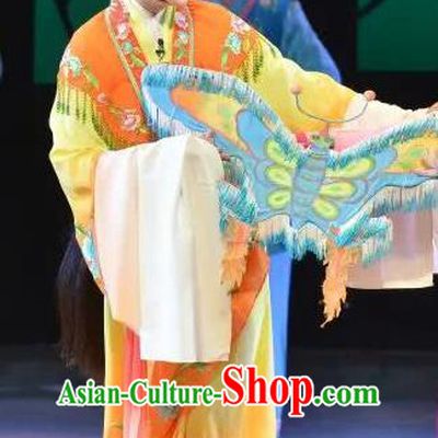 Chinese Cantonese Opera Actress Garment Search the College Costumes and Headdress Traditional Guangdong Opera Young Female Apparels Hua Tan Dress