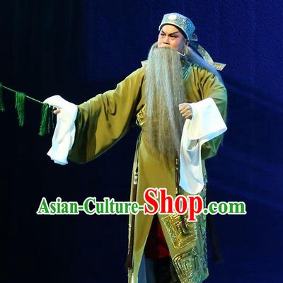 Gao Emperor of Han Chinese Guangdong Opera Elderly Male Apparels Costumes and Headpieces Traditional Cantonese Opera Laosheng Garment Clothing