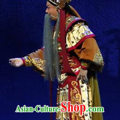 Gao Emperor of Han Chinese Guangdong Opera Elderly Male Apparels Costumes and Headpieces Traditional Cantonese Opera General Garment Armor Clothing