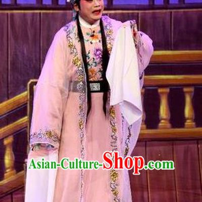 Chinese Guangdong Opera Young Male Apparels Costumes and Headpieces Traditional Cantonese Opera Xiaosheng Garment Crown Prince Wei Jianhun Clothing