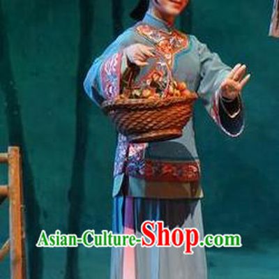 Chinese Cantonese Opera Country Woman Garment Zhuang Yuan Lin Zhaotang Costumes and Headdress Traditional Guangdong Opera Young Female Apparels Mistress Dress