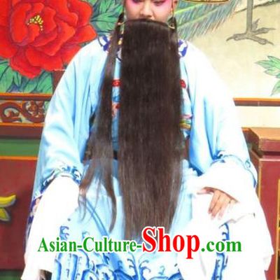 The Strange Stories Chinese Guangdong Opera Elderly Male Apparels Costumes and Headwear Traditional Cantonese Opera Laosheng Garment Official Wang Sheng Clothing