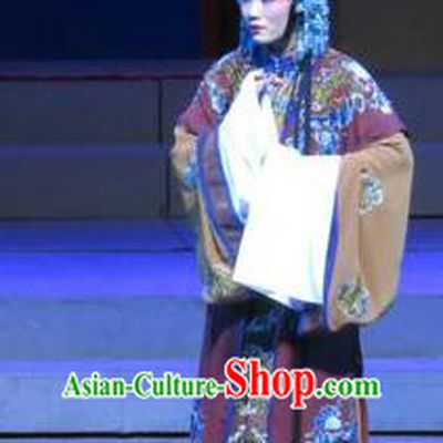 Chinese Cantonese Opera Elderly Female Garment The Strange Stories Costumes and Headdress Traditional Guangdong Opera Dame Apparels Mistress Dress