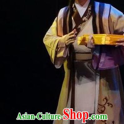 Zi Yun Chinese Guangdong Opera Young Male Apparels Costumes and Headwear Traditional Cantonese Opera Xiaosheng Garment Liang Hanming Clothing
