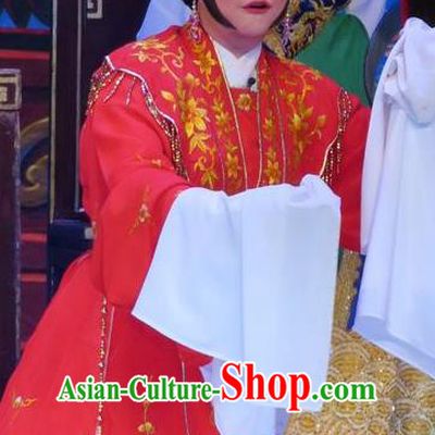 Chinese Cantonese Opera Young Female Garment Costumes and Headdress Traditional Guangdong Opera Diva Wang Meiniang Apparels Hua Tan Red Dress
