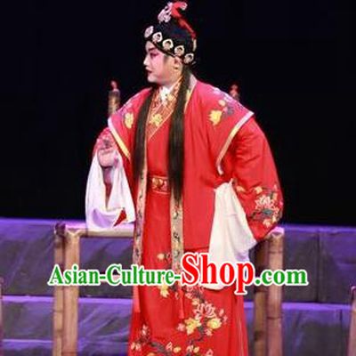 the Legend of Gold Rice Chinese Guangdong Opera Bridegroom Apparels Costumes and Headwear Traditional Cantonese Opera Young Male Garment Xiaosheng Lu Yacan Clothing