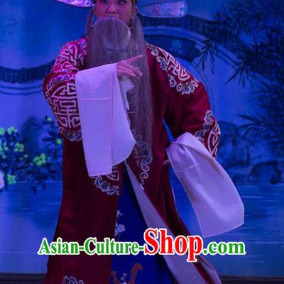 Wu Suo Dong Gong Chinese Guangdong Opera Official Apparels Costumes and Headwear Traditional Cantonese Opera Laosheng Garment Landlord Clothing
