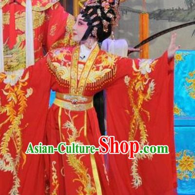 Chinese Cantonese Opera Hua Tan Garment The Sword Costumes and Headdress Traditional Guangdong Opera Young Beauty Apparels Princess Wang Lanying Red Dress