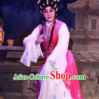 Chinese Cantonese Opera Actress Rosy Garment Nu Chuang Jin Dian Costumes and Headdress Traditional Guangdong Opera Diva Apparels Young Female Dress