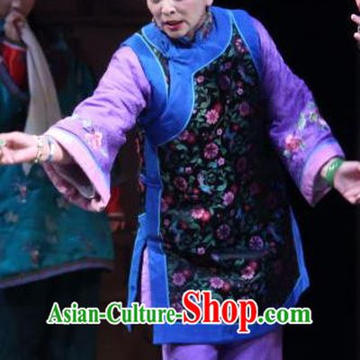 Chinese Historical Drama Wang Fu Jing Ancient Hostess Garment Costumes Traditional Qing Dynasty Woman Dress Young Mistress Apparels and Headdress