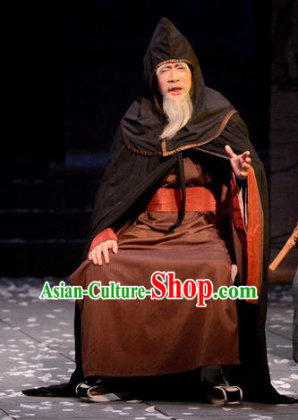 Chinese Traditional Song Dynasty Poet Lu You Apparels Costumes Historical Drama Phoenix Hairpin Ancient Elderly Male Garment Literati Clothing and Headwear Chinese Traditional Song Dynasty Poet Lu You Apparels Costumes Historical Drama Phoenix Hairpin Ancient Elderly Male Garment Literati Clothing and Headwear