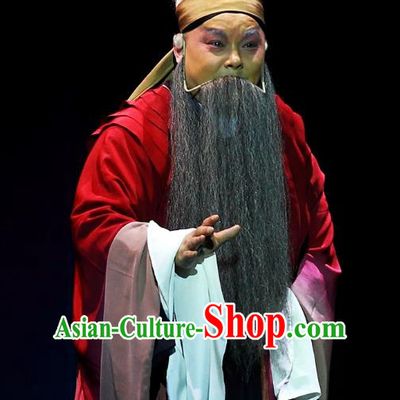 Cao Min Song Shijie Chinese Sichuan Opera Elderly Male Apparels Costumes and Headpieces Peking Opera Highlights Garment Old Scholar Clothing