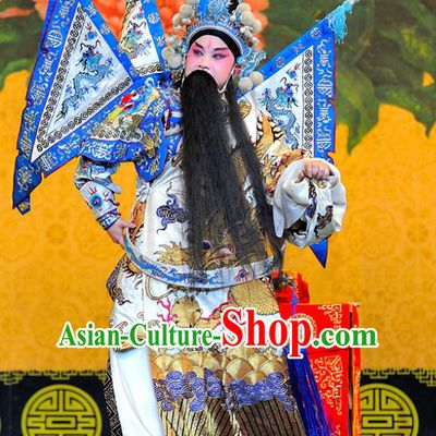 Sui Chao Luan Chinese Sichuan Opera General Wu Yunzhao Apparels Costumes and Headpieces Peking Opera Highlights Martial Male Garment Kao Clothing with Flags