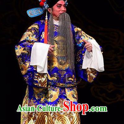 Dan Dao Hui Chinese Sichuan Opera Laosheng Apparels Costumes and Headpieces Peking Opera Highlights Elderly Male Garment Official Lu Su Clothing