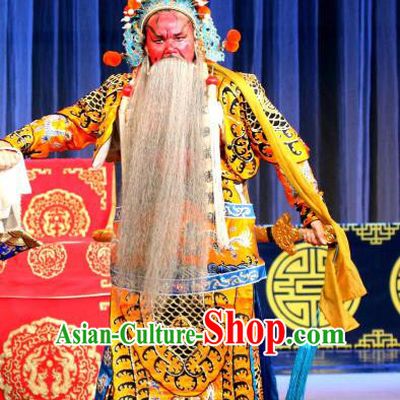 Dan Dao Hui Chinese Sichuan Opera Martial Male Apparels Costumes and Headpieces Peking Opera Highlights General Garment Guan Yu Armor Clothing