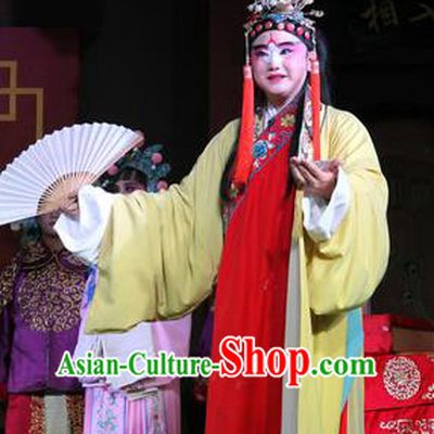 Jin Dian Jing Song Chinese Sichuan Opera Young Male Apparels Costumes and Headpieces Peking Opera Highlights Clown Garment King Songkang Clothing