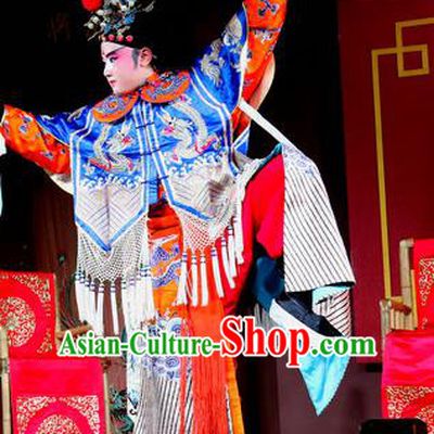 Jin Dian Jing Song Chinese Sichuan Opera King Songkang Apparels Costumes and Headpieces Peking Opera Highlights Garment Clown Clothing