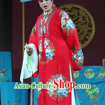Hu Xian Hen Chinese Sichuan Opera Scholar Shi Huaiyu Apparels Costumes and Headpieces Peking Opera Highlights Young Male Garment Niche Clothing