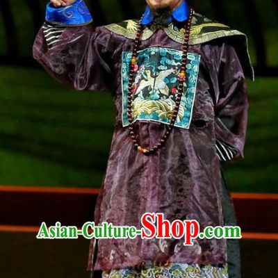 Cang Sheng Zai Shang Chinese Sichuan Opera Minister Apparels Costumes and Headpieces Peking Opera Highlights Official Garment Clothing