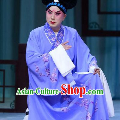 Zhen Zhu Shan Chinese Bangzi Opera Xiaosheng Jiang Xing Apparels Costumes and Headpieces Traditional Hebei Clapper Opera Young Male Garment Merchant Clothing