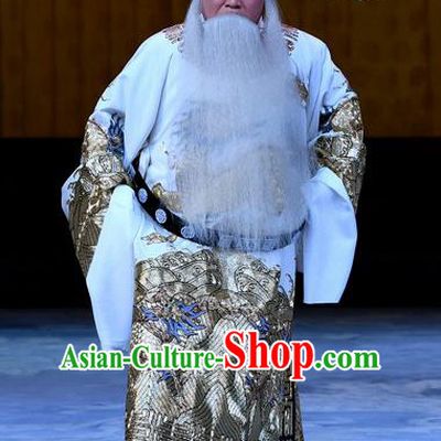 Xue Gang Fan Tang Chinese Bangzi Opera Official Xu Ce Apparels Costumes and Headpieces Traditional Hebei Clapper Opera Laosheng Garment Elderly Male Clothing