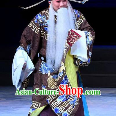 Xue Gang Fan Tang Chinese Bangzi Opera Minister Apparels Costumes and Headpieces Traditional Hebei Clapper Opera Official Xu Ce Garment Laosheng Clothing