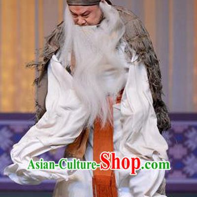 The Butterfly Chalice Chinese Bangzi Opera Elderly Male Apparels Costumes and Headpieces Traditional Hebei Clapper Opera Laosheng Garment Fisherman Hu Yan Clothing