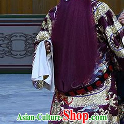 In Extremely Good Fortune Chinese Bangzi Opera Jing Role Apparels Costumes and Headpieces Traditional Hebei Clapper Opera Elderly Male Garment Lord Sun Quan Clothing