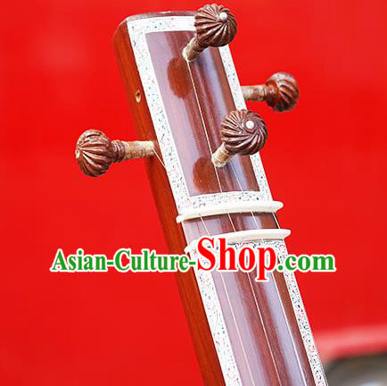 Indian Traditional Musical Instruments India Tanbura Handmade Wood Tambura Plucked String Instrument Indian Traditional Musical Instruments India Tanbura Handmade Wood Tambura Plucked String Instrument